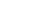 PV Conseil municipal